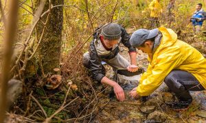 UBCO launches Bachelor of Sustainability degree