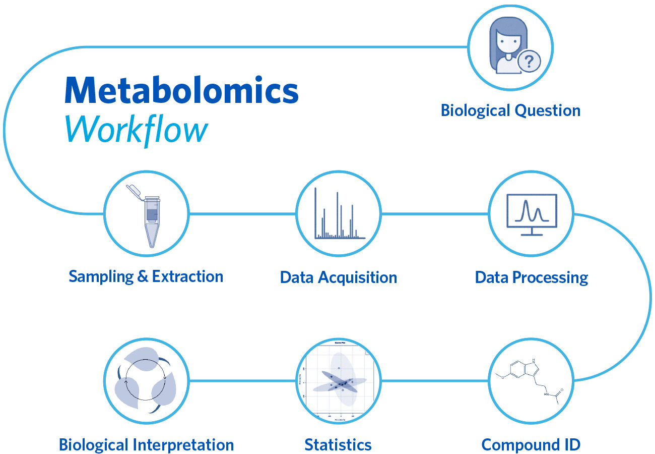 Metabolomics Workflow Infographic